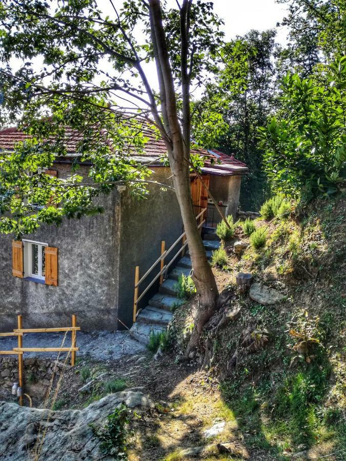 Berzuaia Bed & Breakfast Varazze Exterior photo