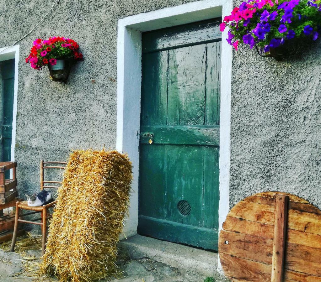 Berzuaia Bed & Breakfast Varazze Exterior photo